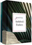 Audubon's Feathers