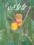 Chooch Chooch Gilehri - (PB)