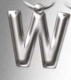 Initial Keyring Letter W