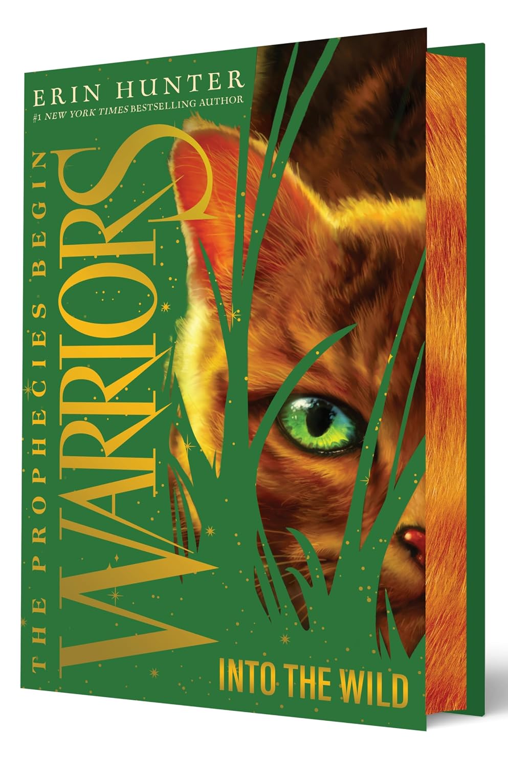 Warriors Collector's Deluxe Limited