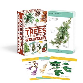Our World in Pictures Trees of the World Flash Cards
