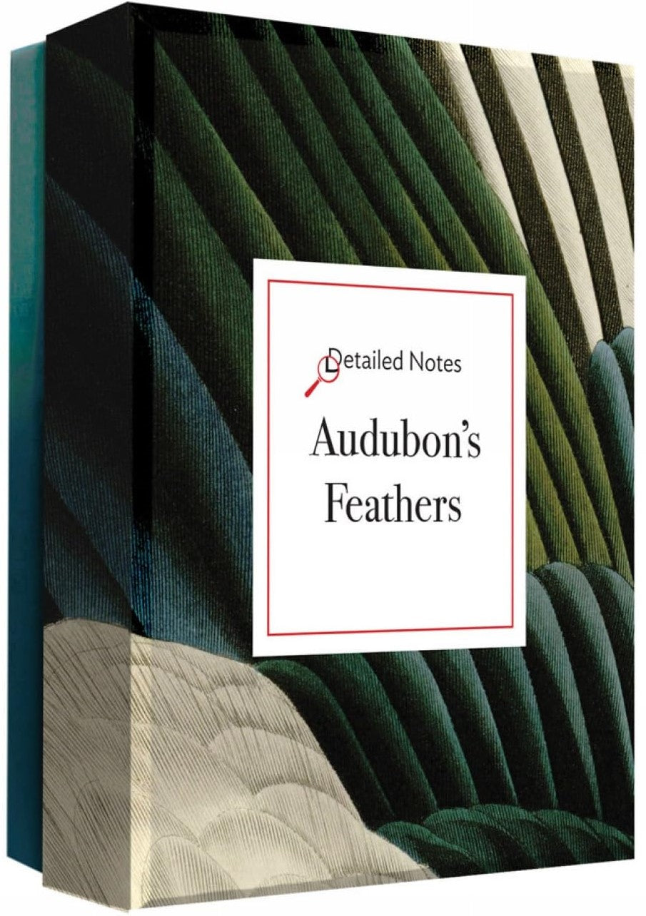 Audubon's Feathers