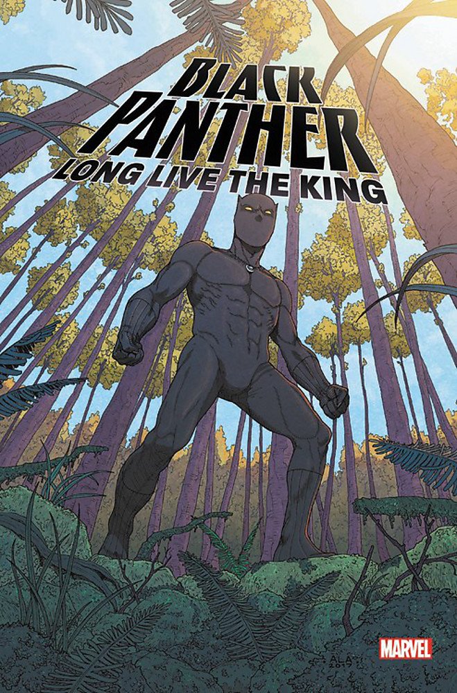 Black Panther: Long Live the King