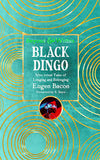 Black Dingo