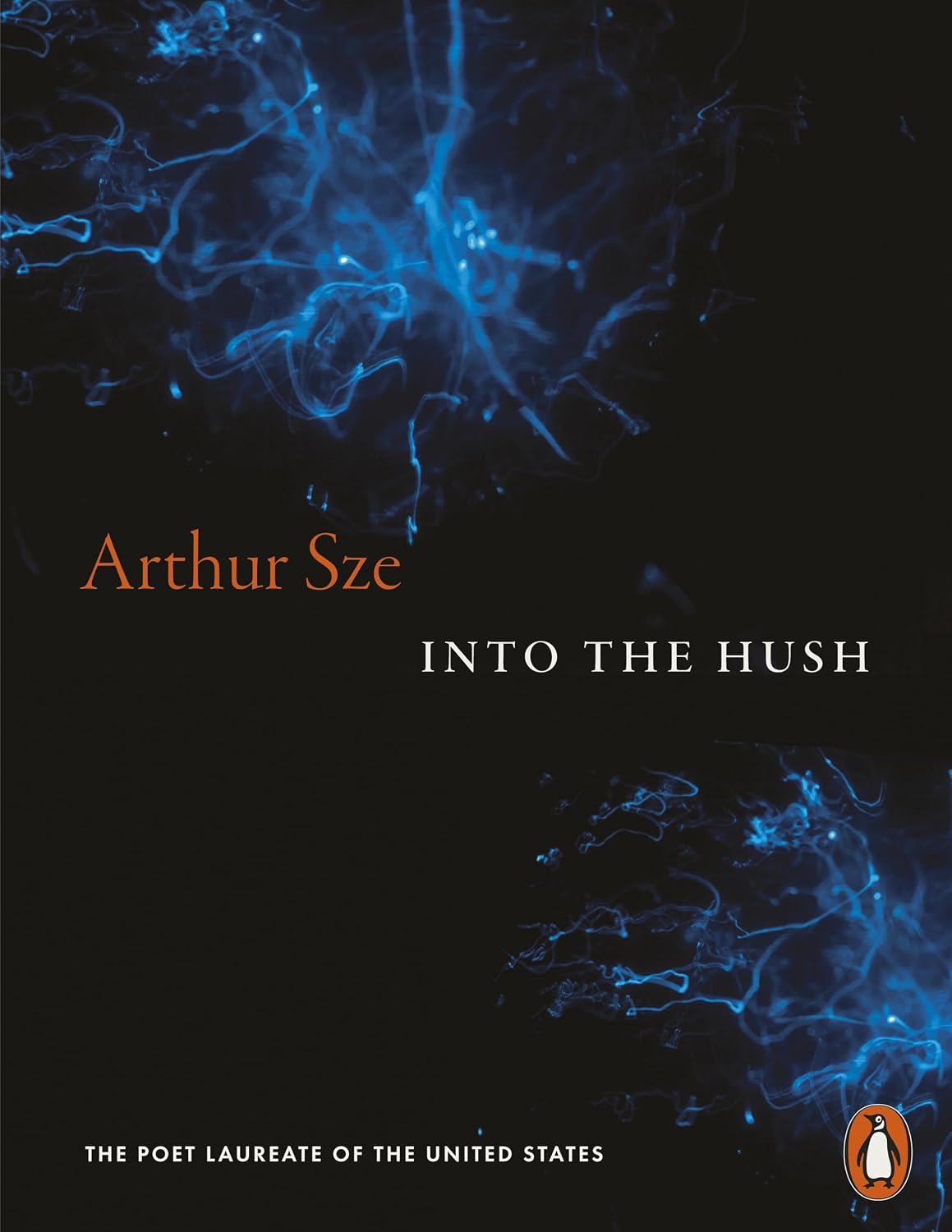 Into the Hush