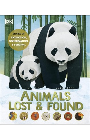 Animals Lost and Found 