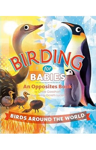 Birding for Babies