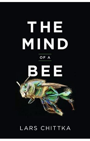 The Mind of a Bee