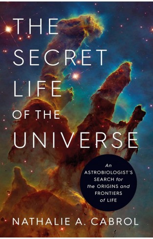 The Secret Life of the Universe