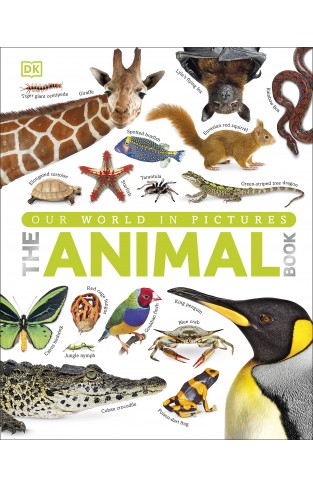 The Animal Book