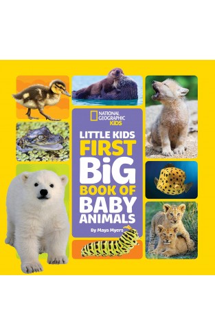 Little Kids First Big Book of Baby Animals (First Big Books)