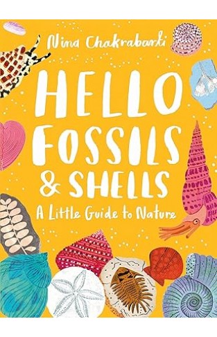 Little Guides to Nature: Hello Fossils and Shells