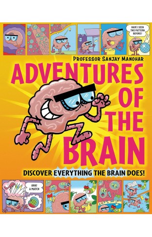 Adventures of the Brain: What the Brain Does and How It Works