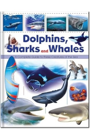 Dolphins, Sharks and Whales