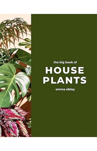 The Big Book of House Plants