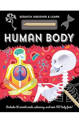 Human Body (Scratch, Discover & Learn)