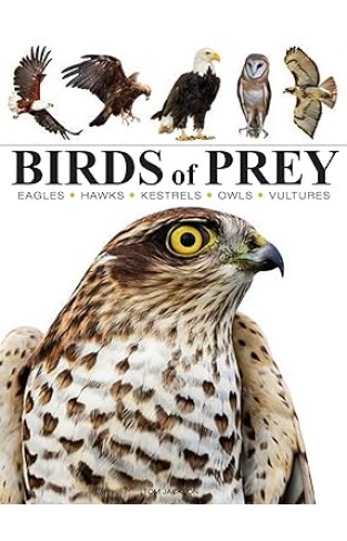 Birds of Prey