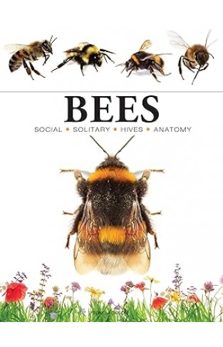 Bees (Mini Animals)