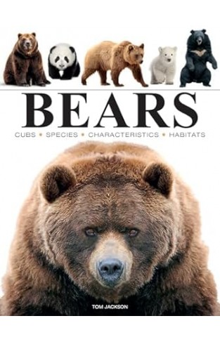 Bears (Mini Animals)