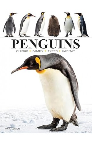 Penguins (Mini Animals)