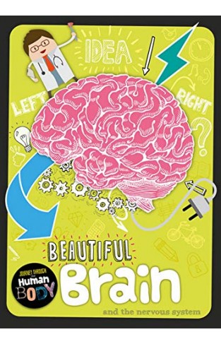 Beautiful Brain (journey Through The Human Body)